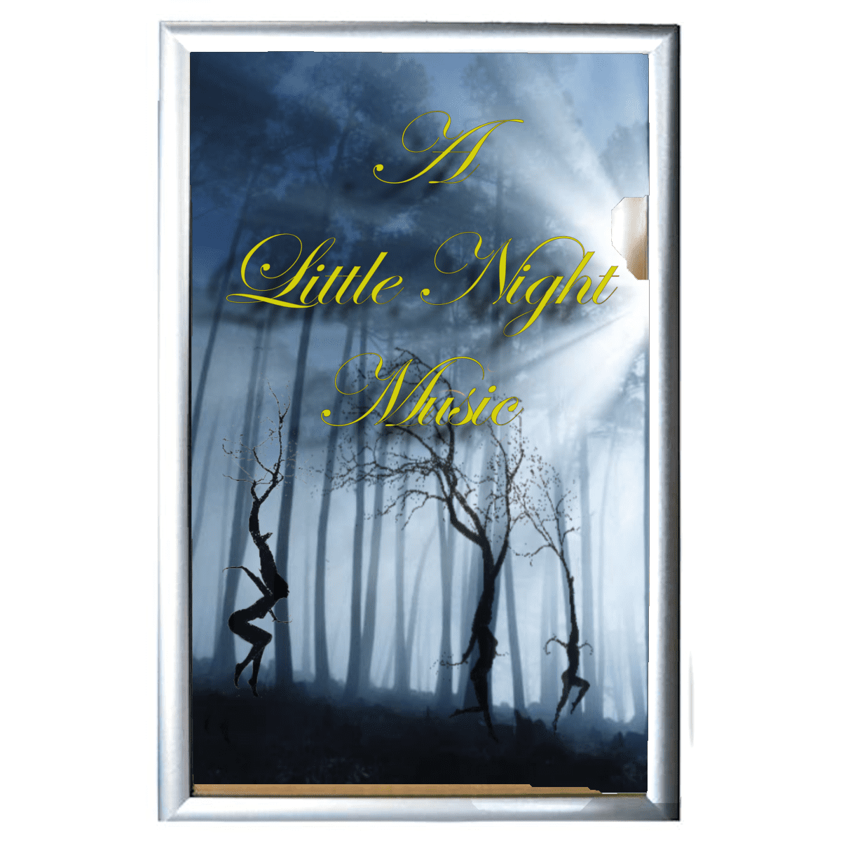 A Little Night Music Theatre Poster