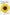 Calendar Girls Book