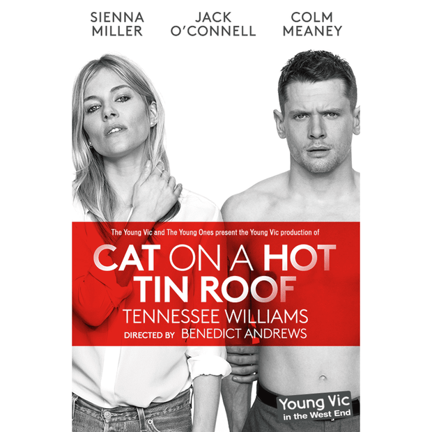 Cat On A Hot Tin Roof Poster