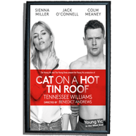 Cat On A Hot Tin Roof Poster