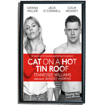 Cat On A Hot Tin Roof Poster