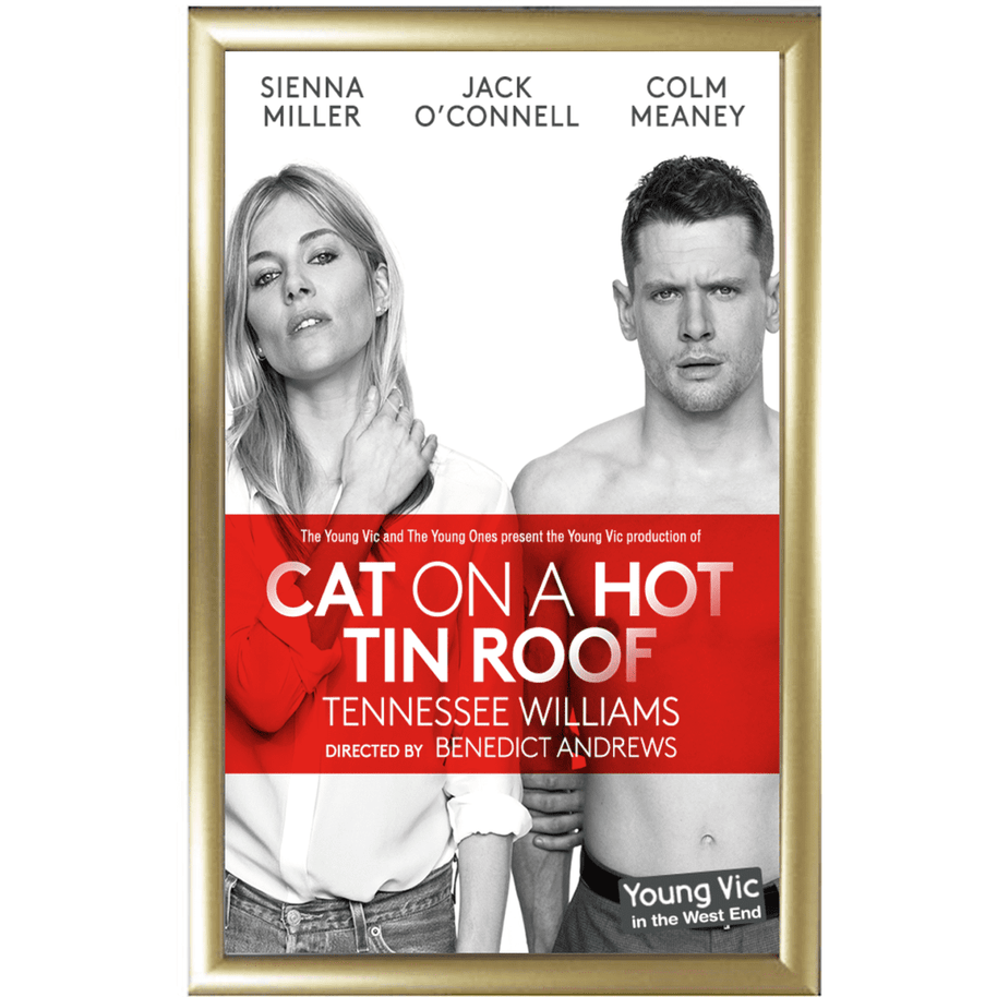 Cat On A Hot Tin Roof Poster