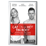 Cat On A Hot Tin Roof Poster