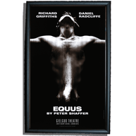 Equus Poster