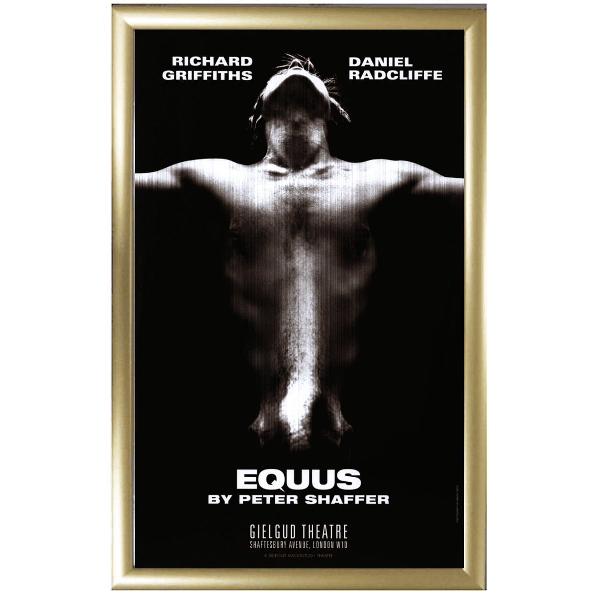Equus Poster
