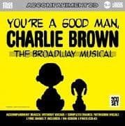 You`re A Good Man Charlie Brown Karaoke CDGs